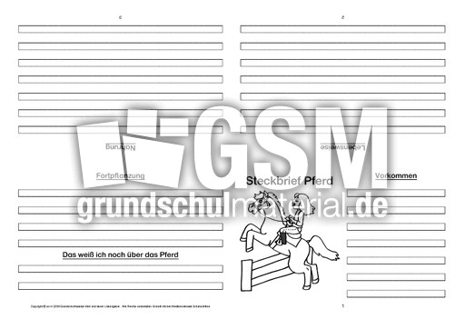 Pferd-Faltbuch-vierseitig-5.pdf